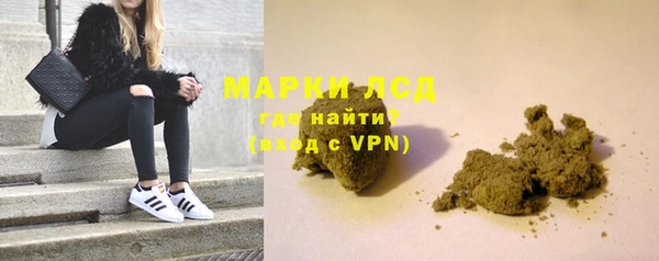 индика Осташков