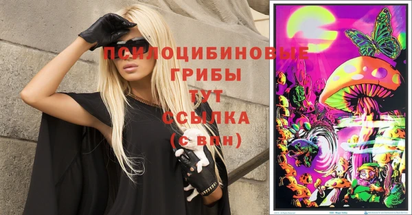 амф Аркадак