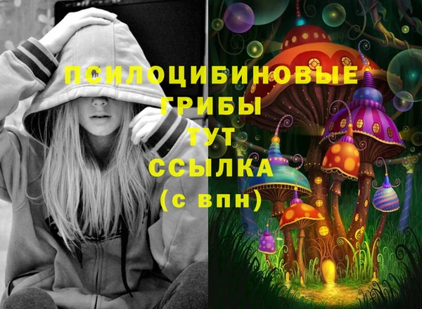 амф Аркадак